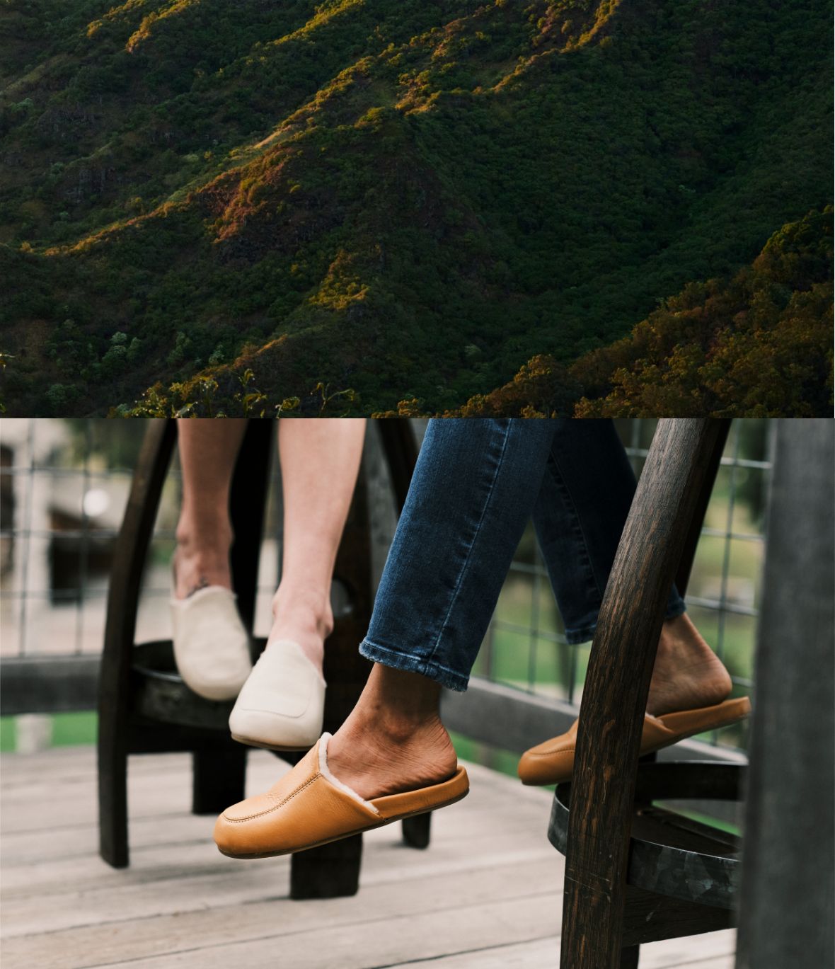 fallback text for an image